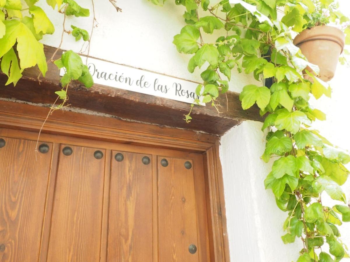 Casa Rural Catifalarga Alpujarra Capileira Ngoại thất bức ảnh