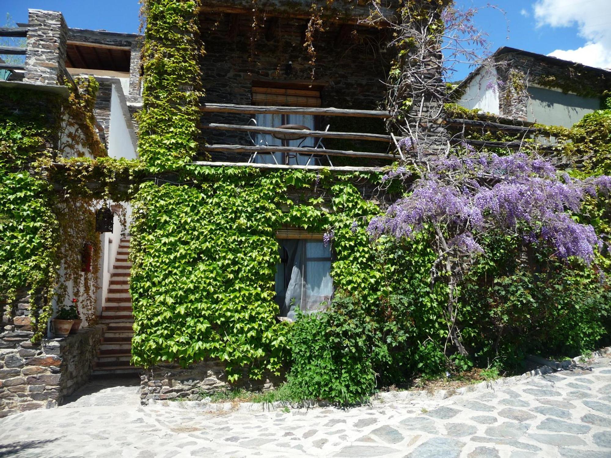 Casa Rural Catifalarga Alpujarra Capileira Ngoại thất bức ảnh